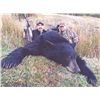 Image 1 : 3-day California Black Bear Hunt for One Hunter