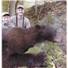 Image 2 : 3-day California Black Bear Hunt for One Hunter