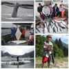 Image 2 : 5-day Alaska Salmon and Halibut Fishing Trip for One Angler
