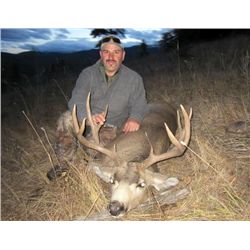 5-day Alberta Rocky Mountain Mule Deer and Wolf Hunt for One Hunter