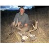 Image 1 : 5-day Alberta Rocky Mountain Mule Deer and Wolf Hunt for One Hunter