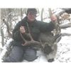 Image 2 : 5-day Alberta Rocky Mountain Mule Deer and Wolf Hunt for One Hunter