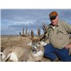 Image 3 : 6-day Alberta Northwestern White-tailed Deer Hunt for One Hunter