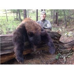 5-day New Mexico Black Bear Hunt for One Hunter