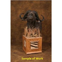 Custom Floor Pedestal for Cape Buffalo