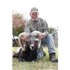 Image 1 : 5-day Texas Mouflon Hunt for One Hunter