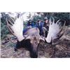 Image 2 : 7-day Trophy Yukon Moose, Black Bear and Wolf Hunt for One Hunter