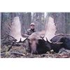 Image 3 : 7-day Trophy Yukon Moose, Black Bear and Wolf Hunt for One Hunter