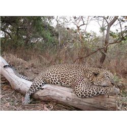 14-day Tanzania Leopard and Plains Game Hunt for One Hunter and One Observer