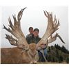 Image 1 : 5-day New Zealand Gold Medal Red Stag Hunt up to 420 SCI for Two Hunters and Two Observers
