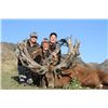 Image 2 : 5-day New Zealand Gold Medal Red Stag Hunt up to 420 SCI for Two Hunters and Two Observers
