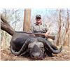 Image 1 : 12-day Mozambique x2 Cape Buffalo and Sable Hunt for One Hunter and One Observer