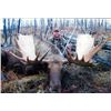Image 2 : 10-day Yukon Trophy Moose Hunt for One Hunter