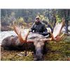 Image 3 : 10-day Yukon Trophy Moose Hunt for One Hunter