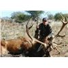 Image 3 : 5-day Argentina Free-Ranging Red Deer, Blackbuck and Sheep Hunt for Four Hunters
