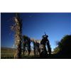 Image 3 : 4-day Argentina Dove and Dorado Cast & Blast Adventure for Twelve