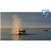 Image 3 : 4-day Salmon and Halibut Fishing Trip for Two, at The Luxurious Langara Island Lodge