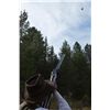 Image 3 : 3-night/2-day Idaho Rough Shooting on Pheasant and Partridge Hunt for Two Shooters