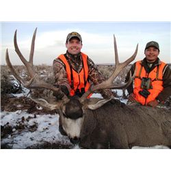 Navajo Nation Special Rocky Mountain Mule Deer Tag