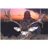 Image 3 : Navajo Nation Special Rocky Mountain Mule Deer Tag
