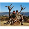 Image 2 : 5-day Mideastern Maral Hunt for One Hunter