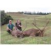 Image 2 : 7-day Gold-Medal Rusa Deer Hunt and Fishing Adventure for One Hunter and One Observer