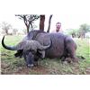 Image 1 : 10-day Tanzania Cape Buffalo and Plains Game Hunt for One Hunter