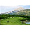 Image 2 : Skiing or Golf Package for 4