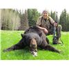 Image 1 : 5-Day Black Bear Hunt for One Hunter in British Columbia