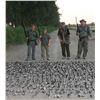 Image 1 : 4-Day/3-Night Dove Hunt for Four Hunters in Argentina
