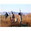 Image 2 : 4-Day/3-Night Dove Hunt for Four Hunters in Argentina