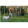 Image 1 : 2-Day/3-Night Private Quail Hunt for Four Hunters in Alabama - Includes 3 Hours Private Air Charter