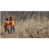 Image 2 : 2-Day/3-Night Private Quail Hunt for Four Hunters in Alabama - Includes 3 Hours Private Air Charter