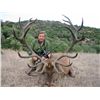 Image 1 : 5-Day Iberian Red Deer Hunt for One Hunter and One Non-Hunter in Spain - Includes Trophy Fee