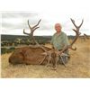 Image 2 : 5-Day Iberian Red Deer Hunt for One Hunter and One Non-Hunter in Spain - Includes Trophy Fee