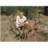Image 3 : 5-Day Iberian Red Deer Hunt for One Hunter and One Non-Hunter in Spain - Includes Trophy Fee