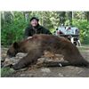 Image 1 : 5-Day Spring Bear Hunt for One Hunter in Idaho