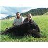 Image 2 : 5-Day Spring Bear Hunt for One Hunter in Idaho