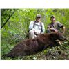 Image 4 : 5-Day Spring Bear Hunt for One Hunter in Idaho