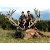 Image 1 : 5-Day Red Stag Hunt for One Adult Hunter, One Youth Hunter and One Non-Hunter in New Zealand - Inclu