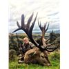 Image 2 : 5-Day Red Stag Hunt for One Adult Hunter, One Youth Hunter and One Non-Hunter in New Zealand - Inclu