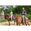 Image 2 : Ultimate 8-Day Belize Fishing & Touring Package for Two Anglers