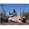 Image 2 : 5-Day Plains Game Hunt for One Hunter in Namibia - Includes Trophy Fees