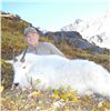 Image 2 : 10-Day Moose, Goat or Elk Hunt for One Hunter in Northeast British Columbia - Includes Trophy Fee