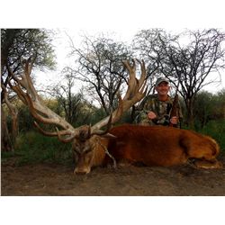 10-Day Gold Medal Red Stag & Boar Hunt for Two Hunters in Argentina- Includes Trophy Fees and Wingsh