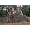 Image 4 : 10-Day Gold Medal Red Stag & Boar Hunt for Two Hunters in Argentina- Includes Trophy Fees and Wingsh