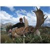 Image 1 : 5-Day Fallow Deer Hunt for Two Hunters and Two Non-Hunters in New Zealand - Includes Trophy Fees