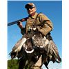 Image 3 : 5-Day Goose Hunt for One Hunter in the Netherlands