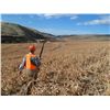 Image 3 : 3-Nights/2-Full Days Upland Wingshooting for Two in Oregon
