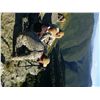 Image 4 : 3-Day Roe Deer Hunt and 1-Day Wine Tasting & Sightseeing for One Hunter and One Non-Hunter in Spain